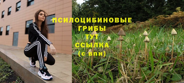 героин Алексин