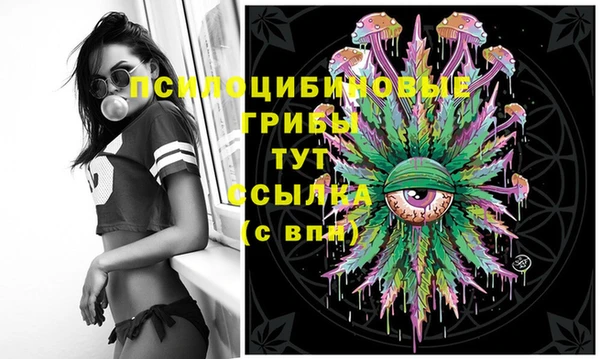 бошки Алзамай